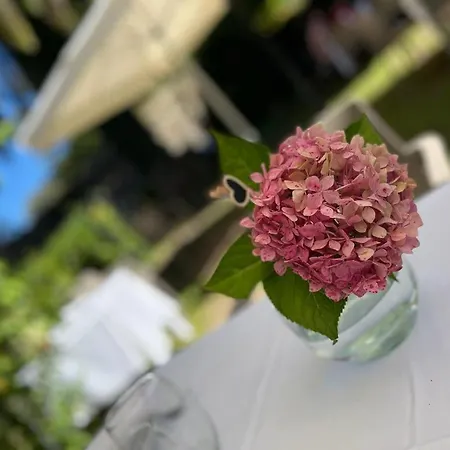 בית הארחה El Pucheru 4 Almas