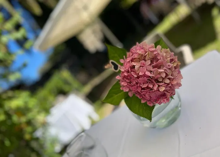 Guest house El Pucheru 4 Almas